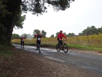 PB181862-ConvertImage