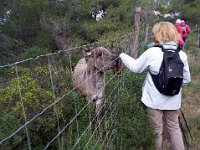 46717607 2028319193915156 4269350431714443264 n