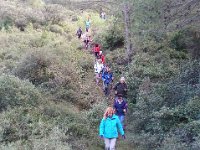 46731118 748282675552124 6512831026891325440 n