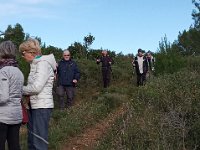 46734461 1946308775490257 2904516606522556416 n