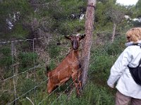 46741329 2360119514274791 2612331278455799808 n