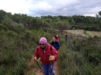 46759359 1451181925018480 4202948210093719552 n