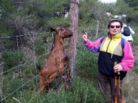 46759990 334944397292873 6799594057531129856 n