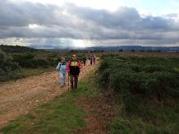 46773635 309075953029918 1347017076782399488 n