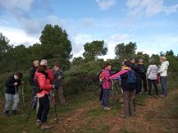 46831303 584563361963827 6234238750625366016 n