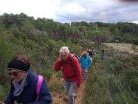 46837319 311355846134010 1046523834561200128 n