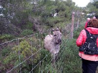 46897240 1451625144971358 9147014733876953088 n