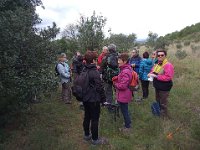 46905390 1232352813572476 1881314921120006144 n