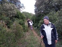 46952305 1264619020345678 5390142643189579776 n