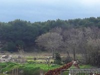 Resized 20190114 150618