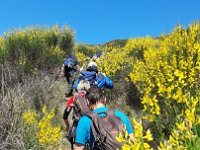 Resized 20190506 115654