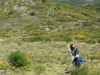 Resized 20190506 131841