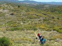 Resized 20190506 131848