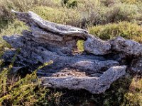 2020-09-23-10h53m16-1