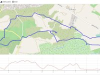 20210308-Lespignan-Nissan