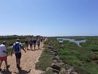 received 161466172677109