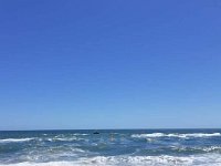 received 273834201194401