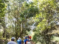 received 550155399498611