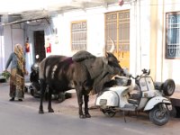 Bernard Vache et vespa - Inde mars 2020