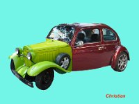 Christian Montage coccinelle .C