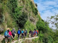 Resized received 1958918207641981