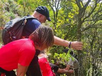 received 1259365531266378