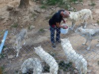 09 juin pas peur le gars !!