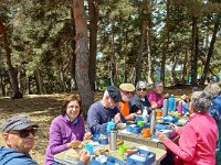 09 juin pic nic J 4 parc des loups