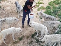 10 juin IMG-20220610-WA0063