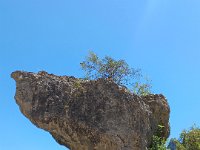 10 juin rocher du Champignon
