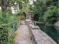 Resized 20220620 110358