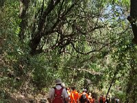 Resized 20220704 111353