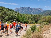 Resized 20220704 140338