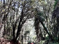 received 568007984827991