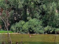 received 787568522412565