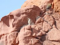 21-09 14-41-53-IMG 9268