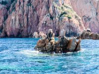 21-09 15-24-27-IMG 9295