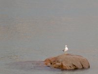 22-09 08-28-31-IMG 9350