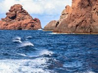 25-09 15-13-56-IMG 9820