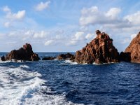 25-09 15-32-41-IMG 9865