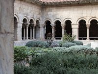 19-10 14-49-09-IMG 0153