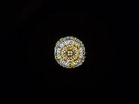 19-10 15-05-36-IMG 0166