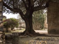 19-10 16-08-00-IMG 0200