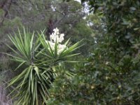 19-10 17-20-20-IMG 0215