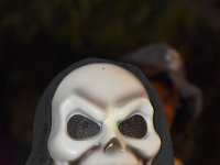 01-19-08-59-AM- DSC3116