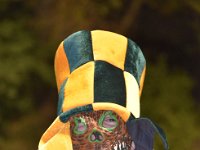 01-19-17-02-AM- DSC3128