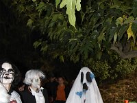 01-19-23-41-AM- DSC3133