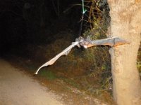 02-19-56-05-HT-P1040787