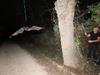 02-19-56-47-BB-IMG 0301