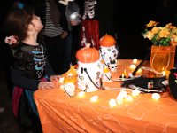 02-21-00-46-BB-IMG 0362